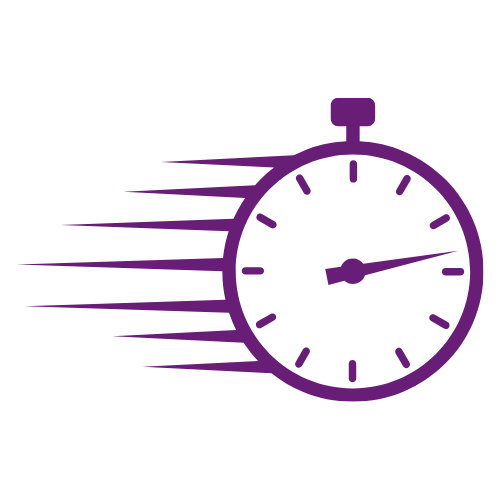 Speed Icon